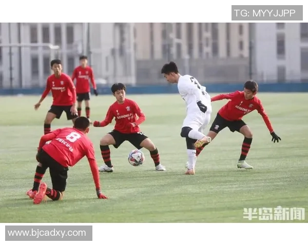 探索DFL足球的魅力与发展潜力，助力全球足球文化的传承与创新